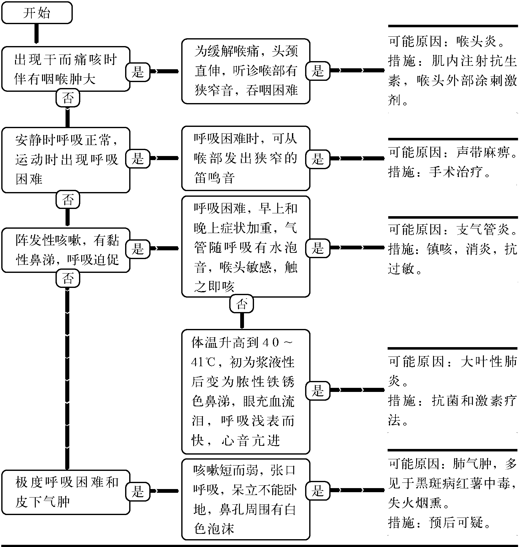 46.呼吸器官常見病